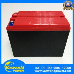 Electric Rickshaw Battery 12V30ah Electric Vehicle Battery Made in China