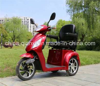 Ce Approved Three Wheel Handicapped Bike