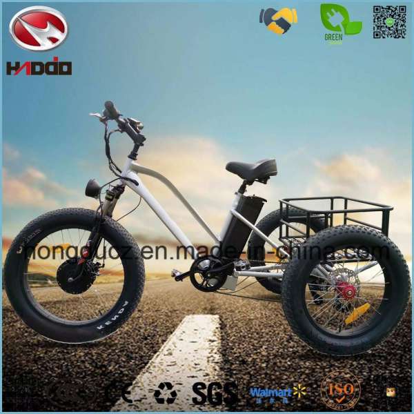 Alloy Frame Fat Tire Adult Pedal Electric Tricycle